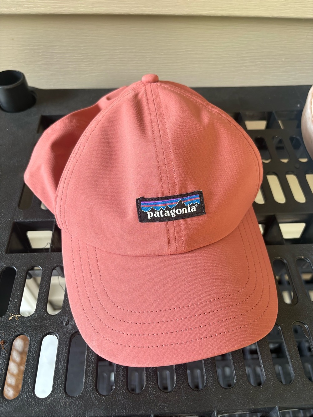 Patagonia Cap